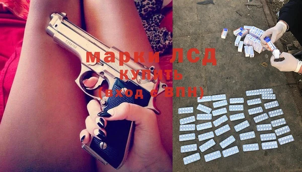 индика Верея