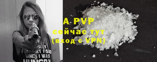 индика Верея