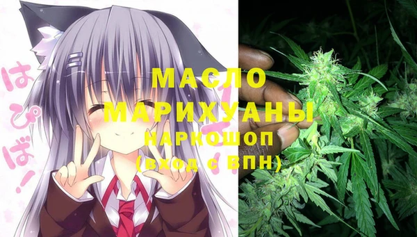 индика Верея