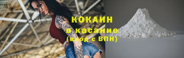 стаф Новый Уренгой