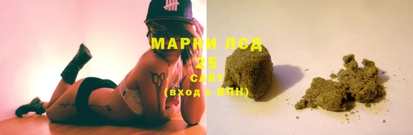 индика Верея