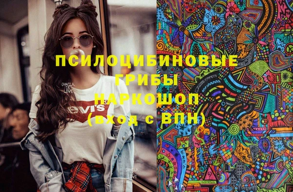 индика Верея