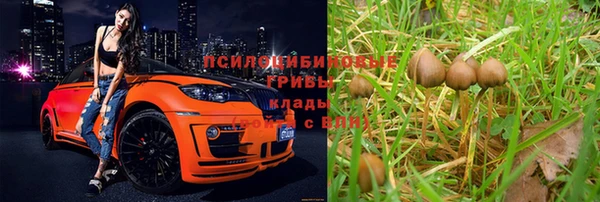 ALPHA PVP Верхний Тагил