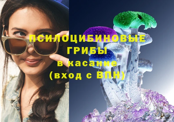 индика Верея