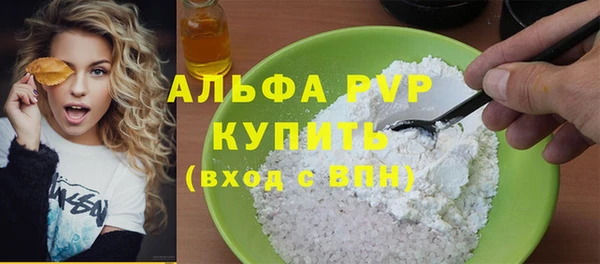 индика Верея
