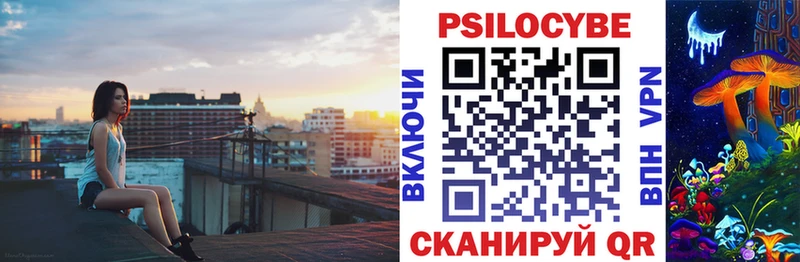 Галлюциногенные грибы Psilocybe  Вышний Волочёк 